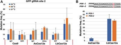 Efficiency, Specificity and Temperature Sensitivity of Cas9 and Cas12a RNPs for DNA-free Genome Editing in Plants